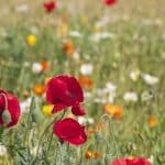 Comment estimer le prix de son salon de jardin ?