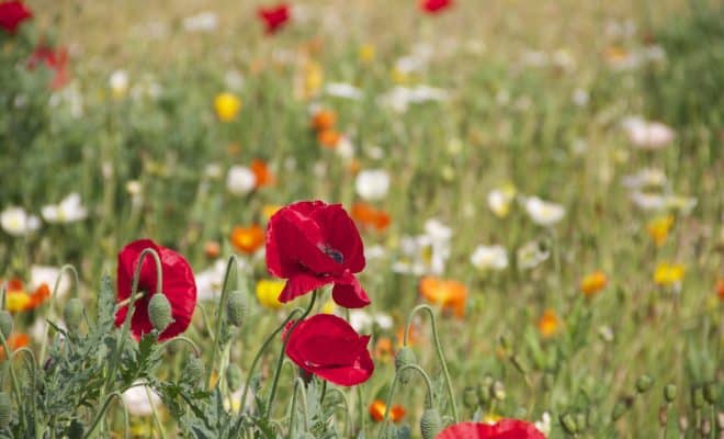 Comment estimer le prix de son salon de jardin ?