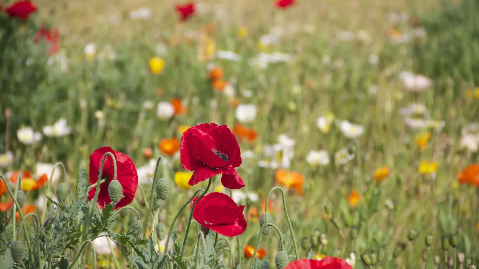 Comment estimer le prix de son salon de jardin ?