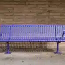 banc violet