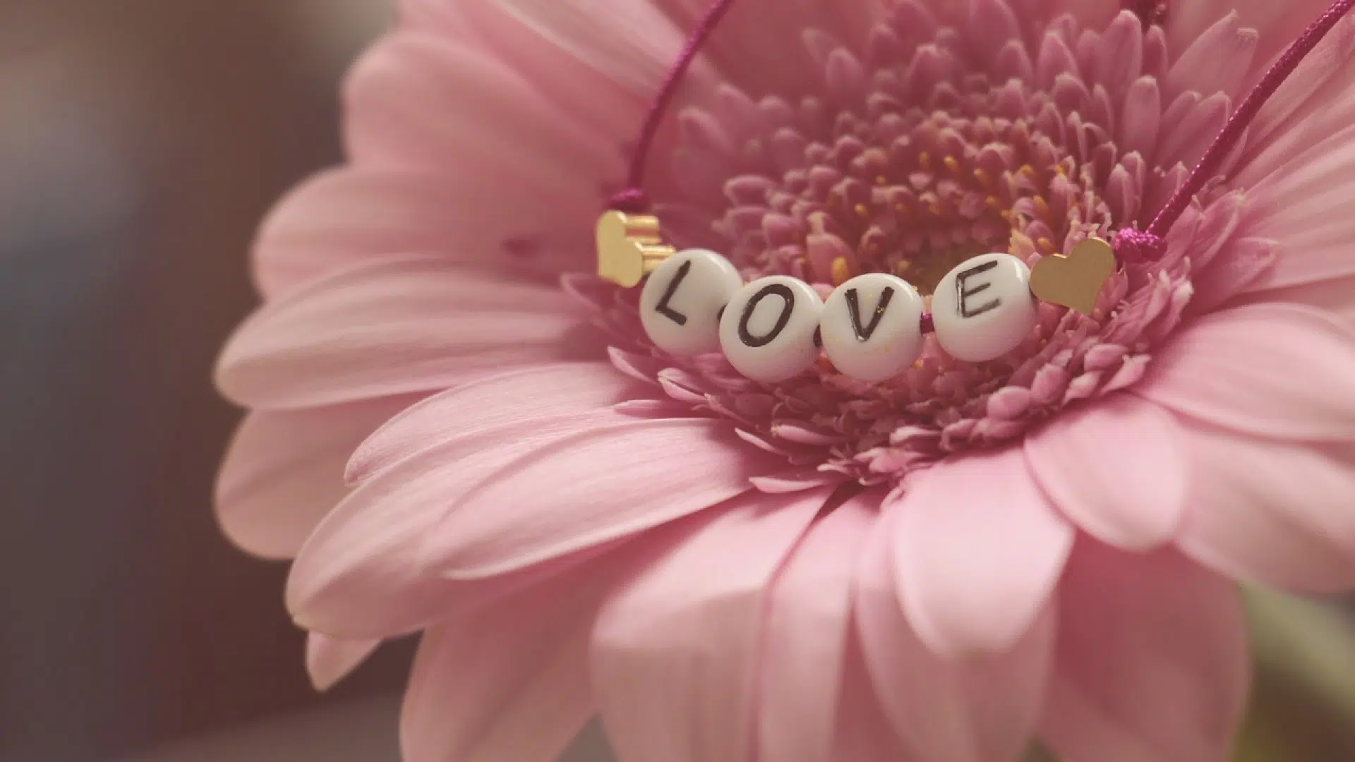 La livraison de bouquet de fleurs, un cadeau de qualité
