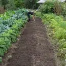 Où se procurer des accessoires du jardin potager ?
