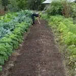 Où se procurer des accessoires du jardin potager ?