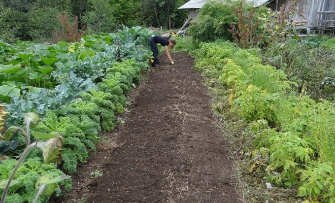 Où se procurer des accessoires du jardin potager ?