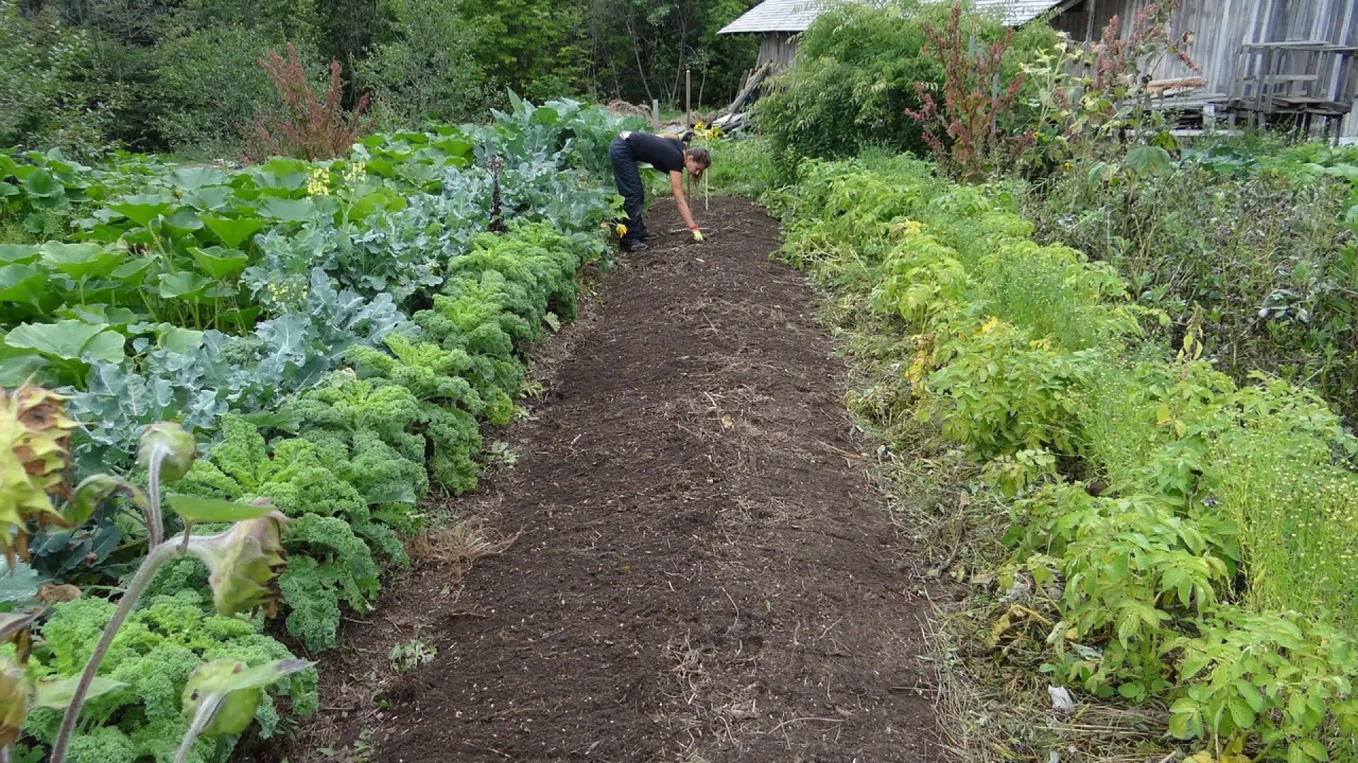 Où se procurer des accessoires du jardin potager ?