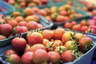 sécurité alimentaire